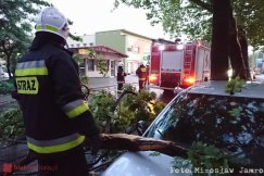 Zalane ulice i mieszkania. Strażacy odnotowali kilkadziesiąt wyjazdów - film