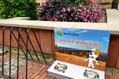 Na ulicach będą miski z wodą. Poidełka w pobliżu instytucji miejskich