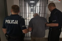 Starszy pan kradł drewno z lasu. Grozi mu pięć lat więzienia - foto