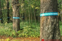 Kontrowersyjna rewitalizacja parku. Ścieżki rowerowe kosztem drzew?