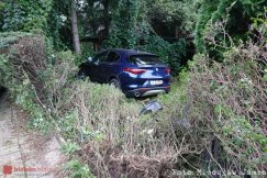 Samochód wpadł do ogrodu i uderzył w drzewo - foto