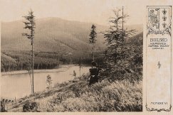 Tajemnicza bielska dolina. Nowy cykl wycieczek pod kierunkiem historyków