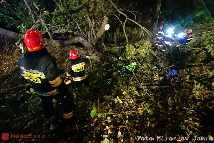 Konar spadł na jadące samochody osobowe. Silny wiatr uszkodził dach