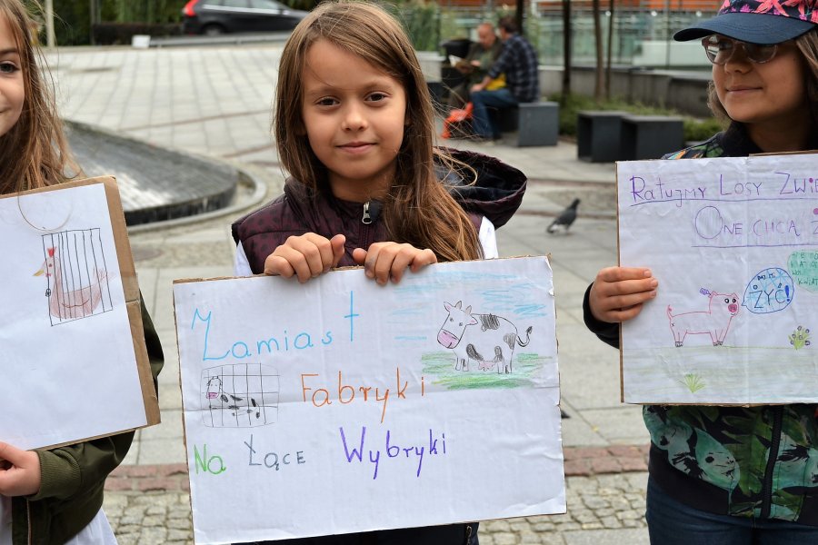 Apelują o ograniczenie spożycia mięsa. Reklamy pokazują sielankę!