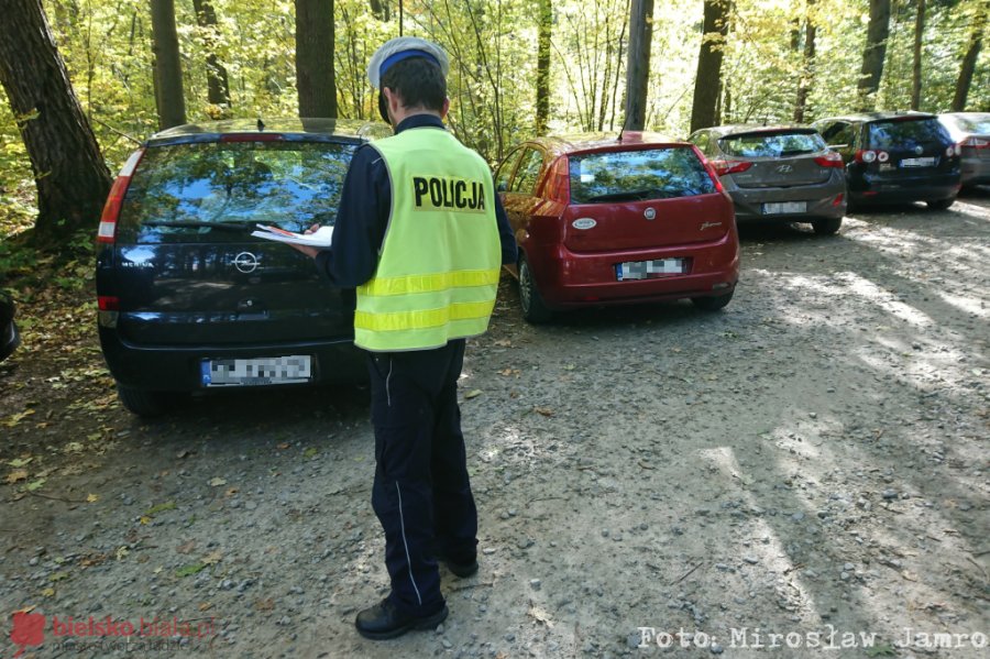 Kilkadziesiąt samochodów zaparkowanych w lesie. Posypią się mandaty! - foto