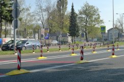 Las elastycznych słupków wyrósł na Partyzantów. Abyśmy jeździli wolniej - foto