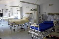 Ospałe muchy zabierają się do pracy w Szpitalu Wojewódzkim
