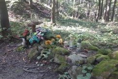 Tajemnicze groby w Cygańskim Lesie. Knot dawno się wypalił