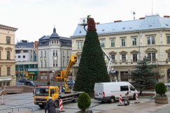 Wielka choinka na placu Chrobrego. Na placu Wojska Polskiego świetlna niespodzianka - foto