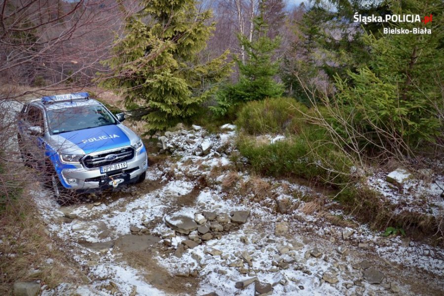 Policyjny ford ranger na górskich bezdrożach. Przeciw złodziejom choinek ZDJĘCIA