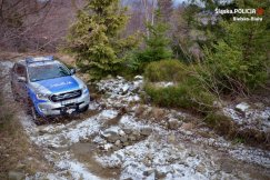 Policyjny ford ranger na górskich bezdrożach. Przeciw złodziejom choinek ZDJĘCIA