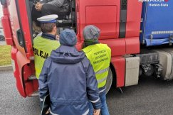 Kontrole ciężarówek z odpadami. Policja zachęca do zgłaszania podejrzeń - foto