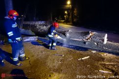 Silny wiatr przewracał drzewa. Służby miały dużo pracy - foto