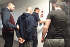 Schowała się pod łóżkiem. Nieoczekiwany rezultat rewizji u dilera - foto