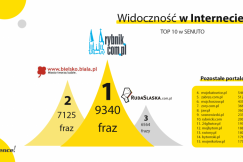 Ranking portali w województwie śląskim. Najlepiej widoczne w Google!