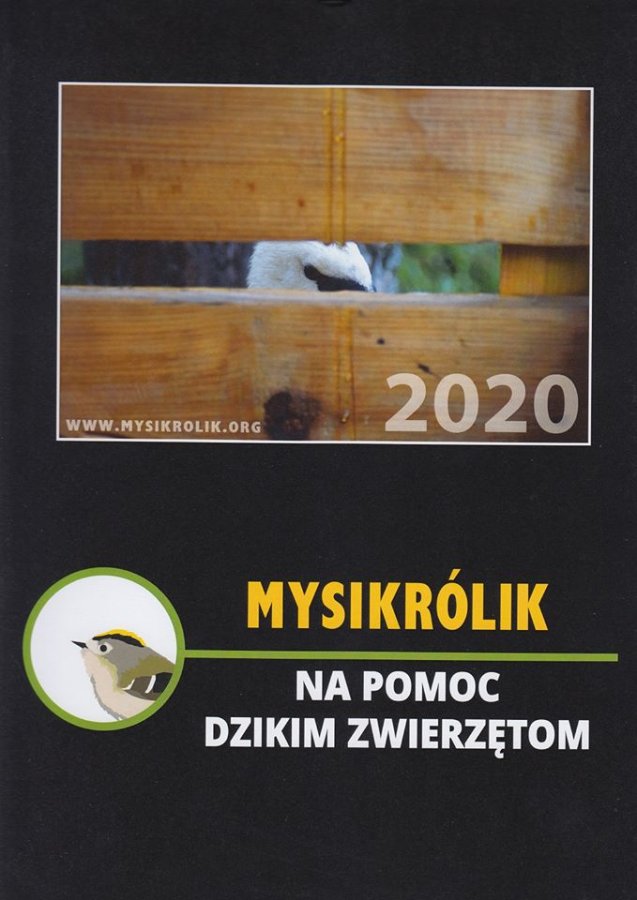 W rok uratowali kilkaset dzikich zwierząt. Teraz każdy może im pomóc - foto