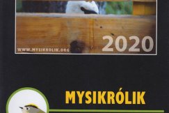 W rok uratowali kilkaset dzikich zwierząt. Teraz każdy może im pomóc - foto