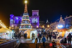 Bielsko-Biała prowadzi, ale goni nas Rzeszów. Głosowanie tylko do północy!