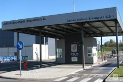 Ponad 6 ton martwych zwierząt na ulicach rocznie. Kto to wszystko teraz uprzątnie?
