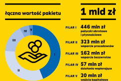 Wojewódzka tarcza antykryzysowa. Miliard złotych na pomoc dla gospodarki