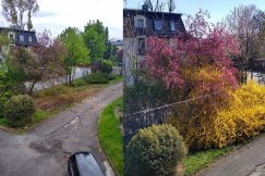 Mieli przyciąć, a wycięli wszystko! ZGM obiecuje odtworzyć roślinność - foto