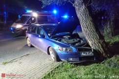 Nietrzeźwy uderzył w drzewo. Nocne poszukiwania z psem tropiącym - foto