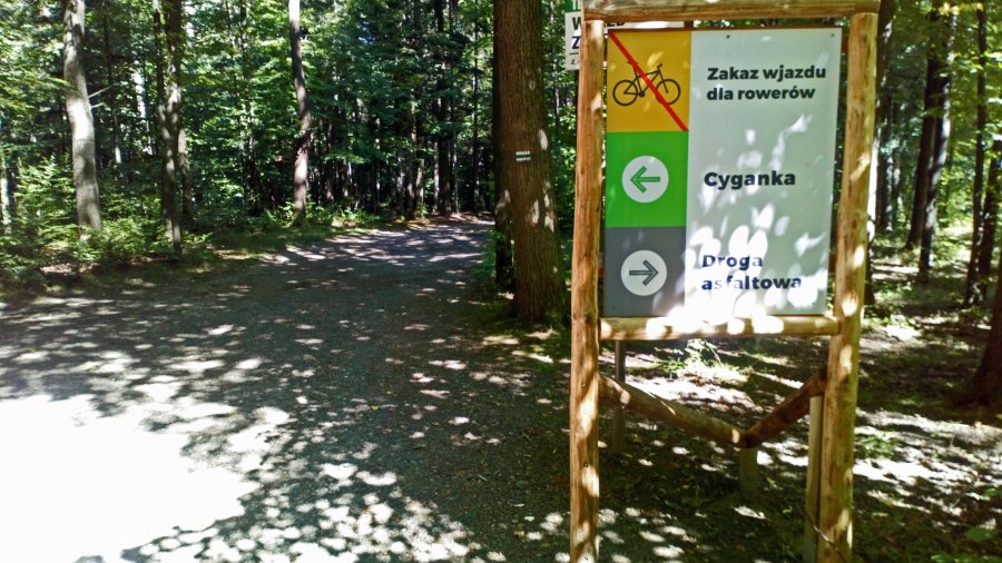 Zakaz wjazdu dla rowerów. Ochrona pieszych na popularnym szlaku - foto