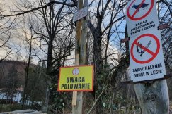 Niebezpieczny incydent na polowaniu. Myśliwi strzelali w kierunku ludzi?