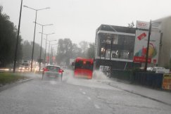 Powszechny podatek od deszczu. Rządowy pomysł na walkę z suszą
