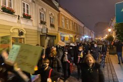 Protesty przybierają na sile. Przepychanki przed kurią bielsko-żywiecką - film