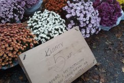 Tłumy na bielskich cmentarzach. W Kamienicy policja musiała kierować ruchem