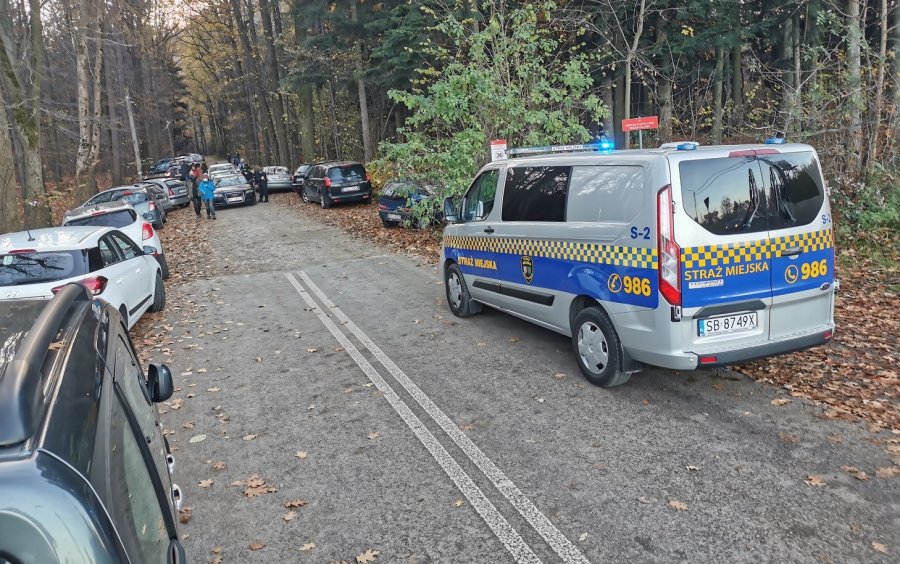 Ponad 30 samochodów na zakazie. Strażnicy pouczali i wystawiali mandaty - foto