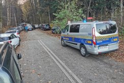 Ponad 30 samochodów na zakazie. Strażnicy pouczali i wystawiali mandaty - foto