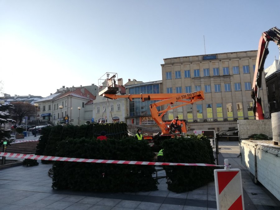 Stawiają choinkę na placu Chrobrego. Skromne dekoracje w Bielsku-Białej - foto