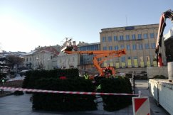 Stawiają choinkę na placu Chrobrego. Skromne dekoracje w Bielsku-Białej - foto