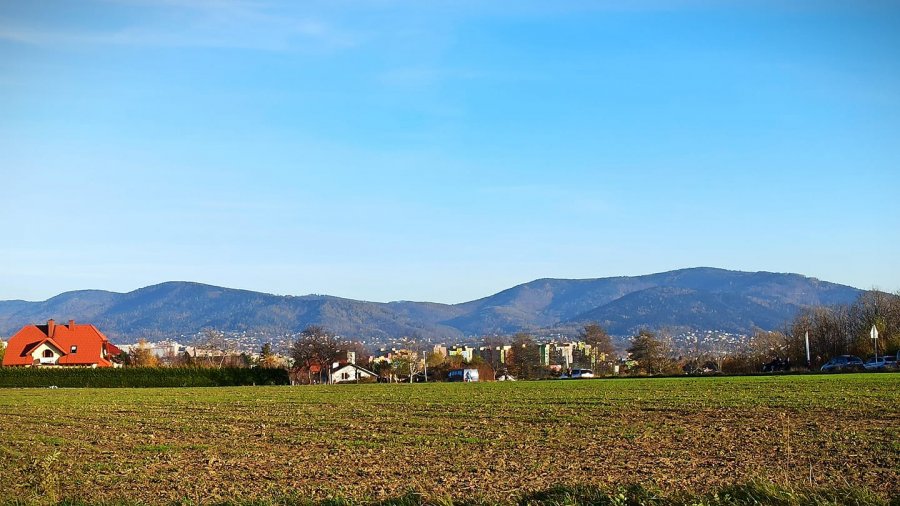 Wysokie temperatury na początku grudnia. Kiedy wróci mróz?