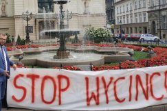Wielka wycinka koło teatru nieunikniona? Apel do ministra z Bielska-Białej