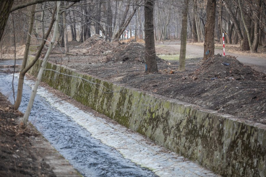 Zagospodarowanie ujścia potoku Straconka. Wycięto już roślinność inwazyjną - foto