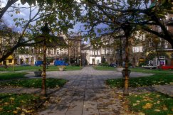 Mieszkańcy mają dość betonozy. Czy bielski Rynek może się znów zazielenić?