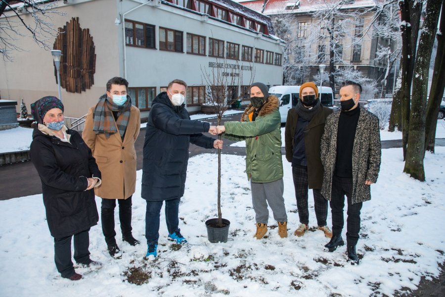 Drzewo otrzymało imię Bohdana Smolenia. Uroczystość w Parku Słowackiego - foto