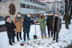Drzewo otrzymało imię Bohdana Smolenia. Uroczystość w Parku Słowackiego - foto