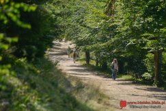 Raj dla biegaczy w Beskidach. Innowacyjny pomysł na skalę krajową