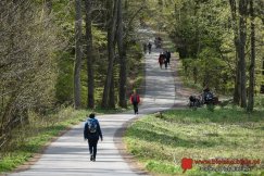 Bielsko-Biała w czołówce zielonych miast. Raport poparty zdjęciami satelitarnymi