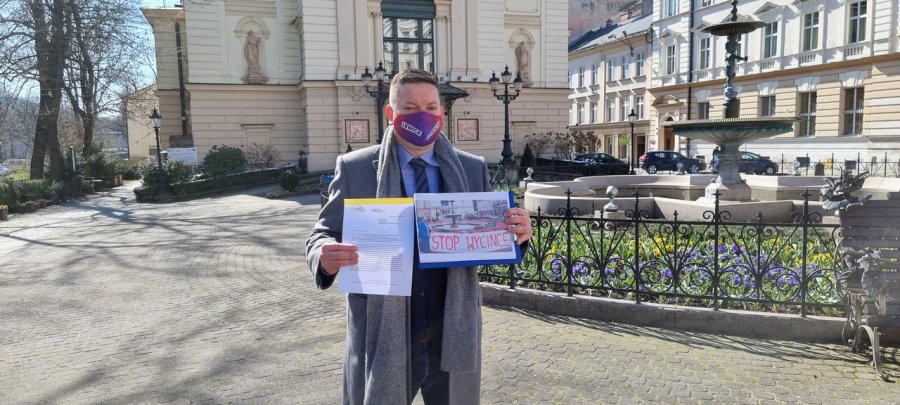 Wycinka zniszczy perłę krajobrazu Bielska-Białej. Poseł Koperski apeluje do ministra Pudy - foto