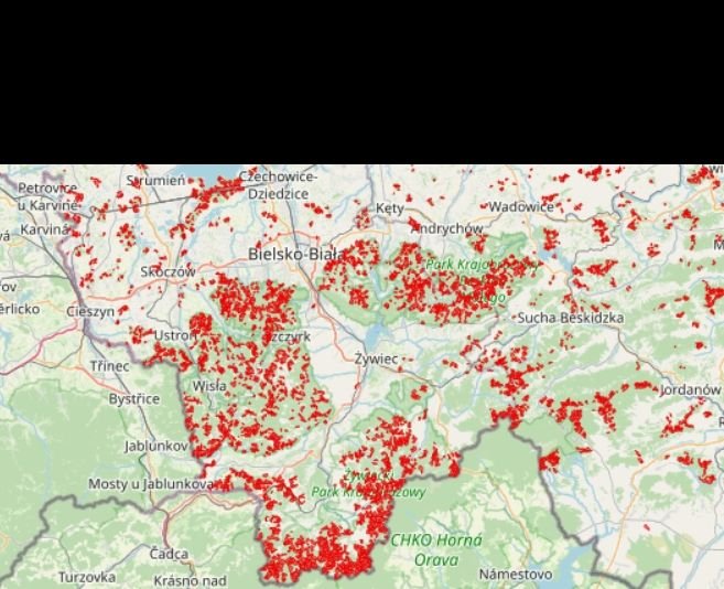 Beskidzkie lasy wycięte w pień? Leśnicy i ekolodzy oskarżają się o manipulację