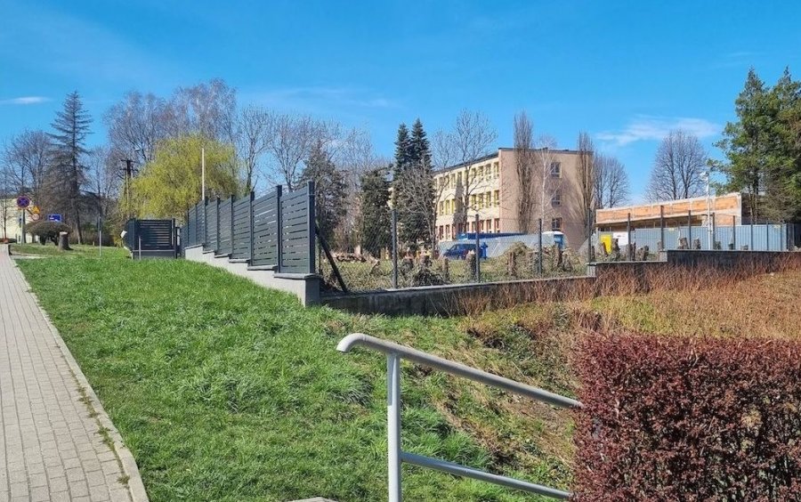 „Wycięli w pień wszystkie drzewa”. Pozwolenia od prezydenta Bielska-Białej - foto