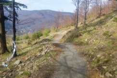 Tylko 12 groszy za cały sezon? Najtańsza oferta na utrzymanie Enduro Trails