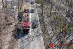 Liny zawisły nad ul. Górską. Bielsko-Biała ułatwia życie... wiewiórkom ZDJĘCIA