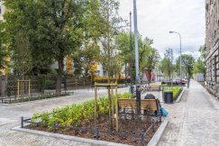 Ul. 1 Maja będzie przebudowana. Spokojna alejka miejska z pasem dla rowerów