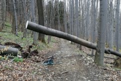Po zamieszaniu otwierają Enduro Trails. Trasy będą utrzymywane bezpłatnie